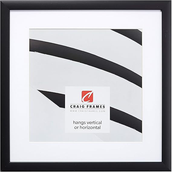 Craig Frames 16 by 16-Inch Black Picture Frame, Single White Mat with 1-12 by 12-Inch Square Open... | Amazon (US)