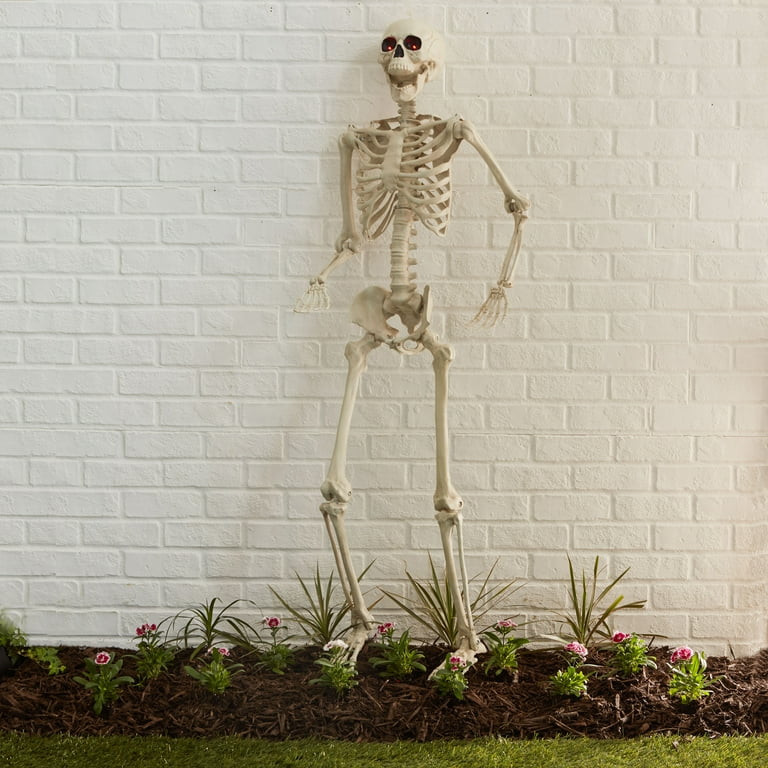Way To Celebrate! 5 feet Realistic Bone Color Plastic Posable Skeleton for Indoor/Outdoor Hallowe... | Walmart (US)
