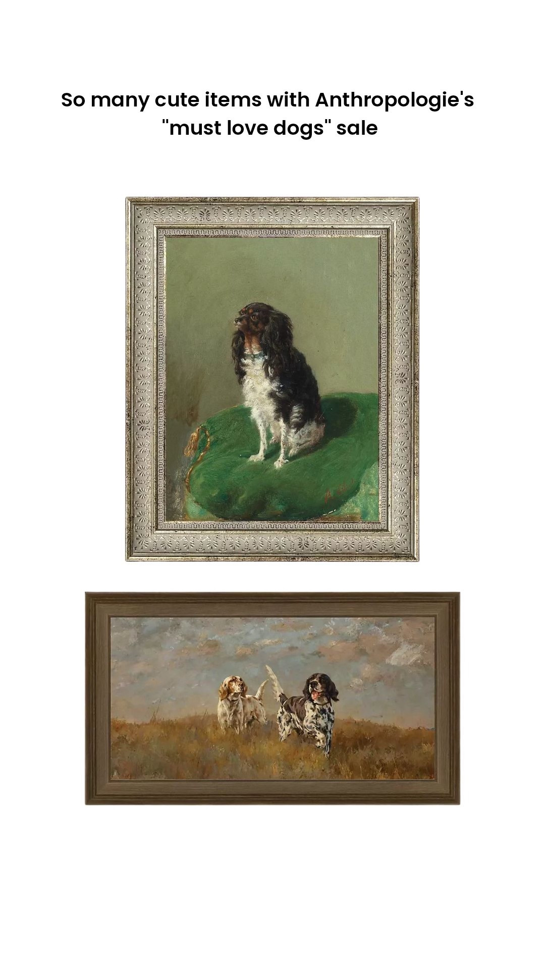 I'm obsessed with all this dog-related decor!

#LTKHome