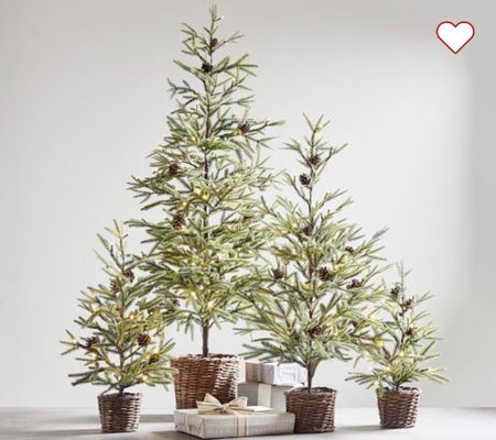 Christmas Trees
#christmas
#christmastrees
#christmasdecor
#christmasdecorations
#pinetrees

#LTKSeasonal #LTKfamily #LTKhome
