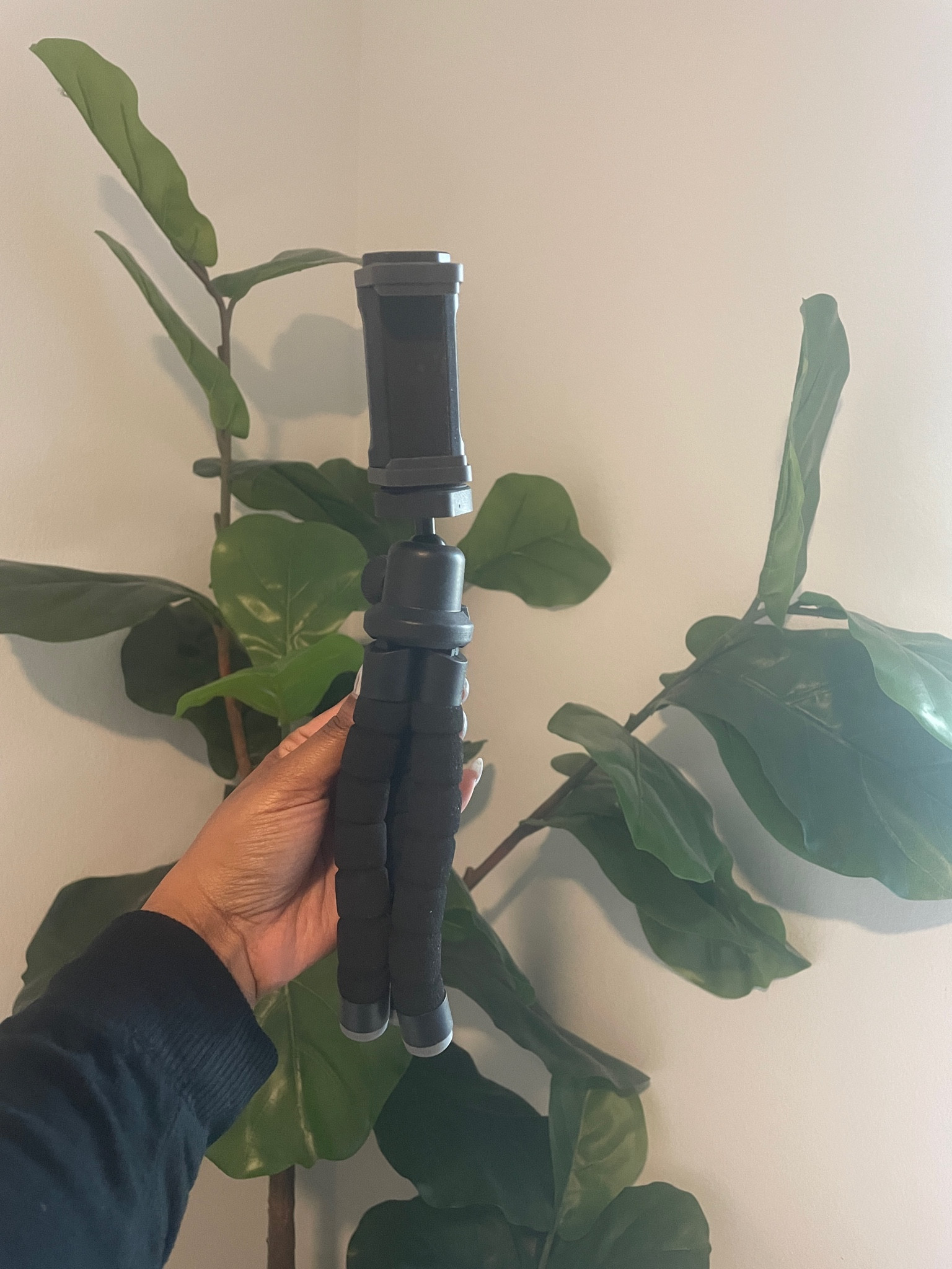 TriPod

#LTKVideo