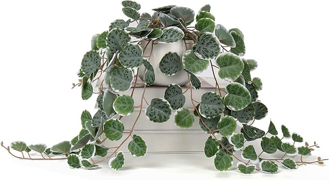 Briful Fake Plants Indoor 16'' Artificial String of Hearts Plants with Ceramic Pot Faux Draping V... | Amazon (US)