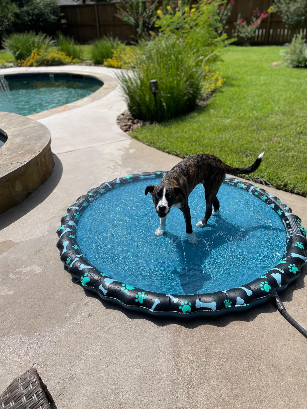 SplashEZ 3-in-1 Splash Pad, Sprinkler for Kids & Baby Pool for Learning \u2013 Toddler Sprinkler ... | Amazon (US)