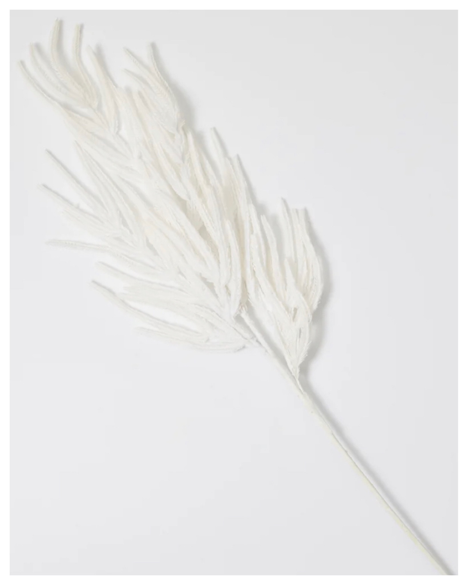 Let me share something new, White Norfolk Pine, it’s gorgeous. 
.
#whitenorfolkpine

#LTKSeasonal #LTKHoliday #LTKhome