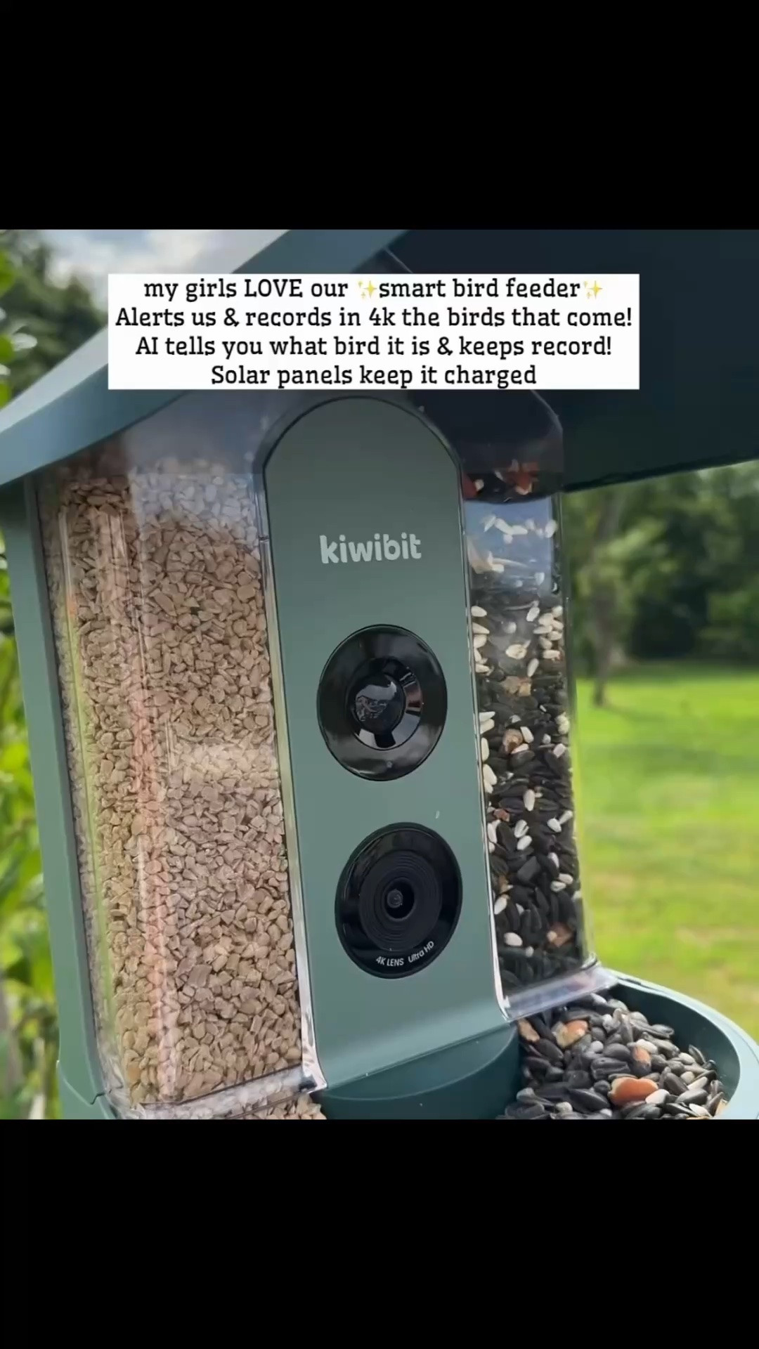 My girls love our small bird feeder!! And it’s on sale right now for Amazon Prime Day!!

Sale alert, watchnow, finds under 100, Elaina Zinke

#LTKSeasonal #LTKSaleAlert #LTKHome
