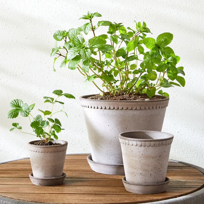 Bergs Helena Indoor/Outdoor Planters | West Elm (US)