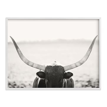 Minted for West Elm - Staredown by Amy Carroll | West Elm (US)