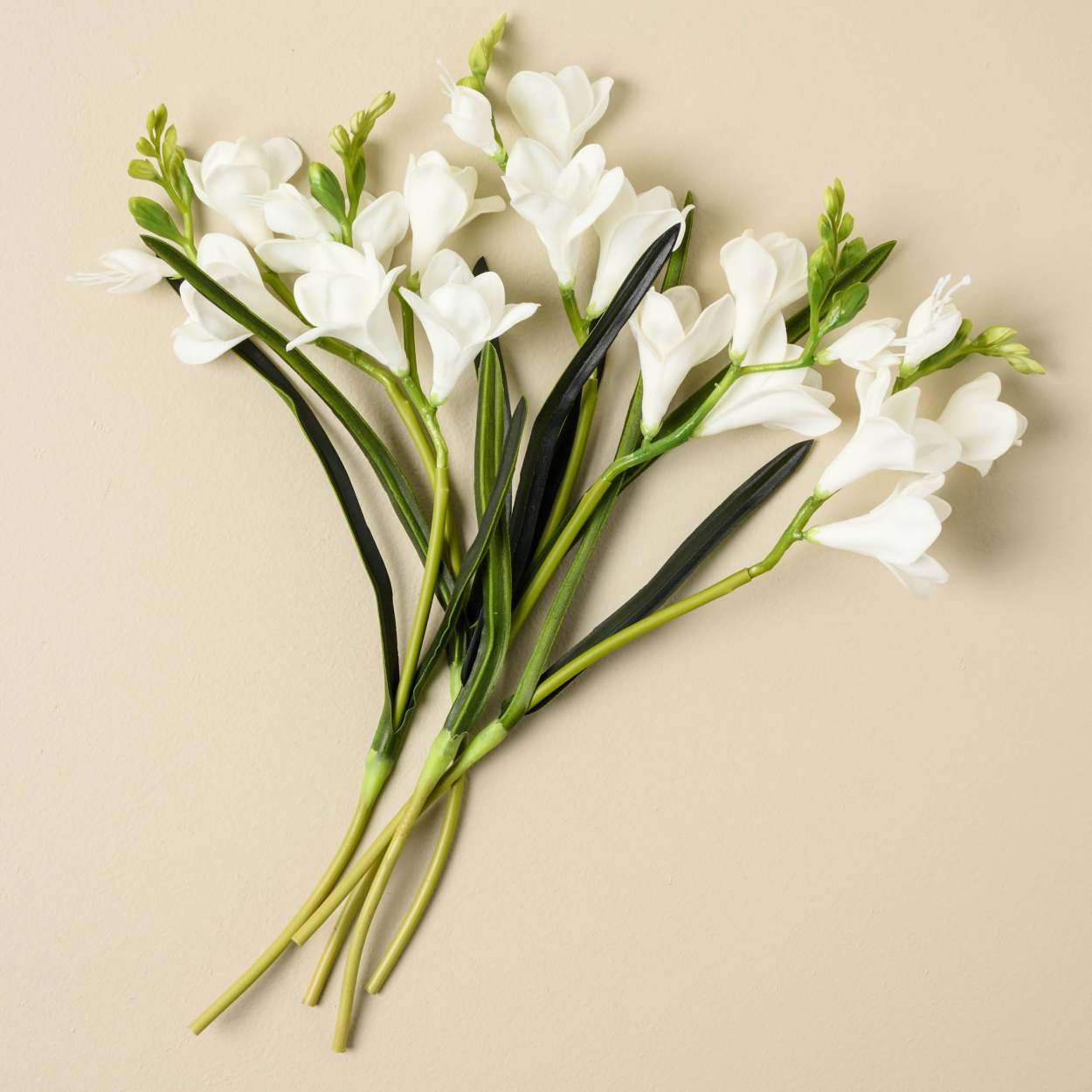 Freezia Bundle | Magnolia