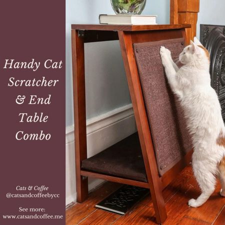 How cool is this cat scratcher/side table combo?! It’d be so handy, and it comes in three colors!

#LTKstyletip #LTKfamily #LTKhome