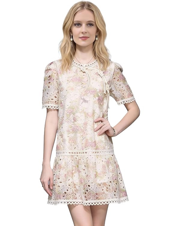 LAI MENG FIVE CATS Women's Short Sleeve Hollowed Out Embroidered Print Round Neck Mini Dress | Amazon (US)