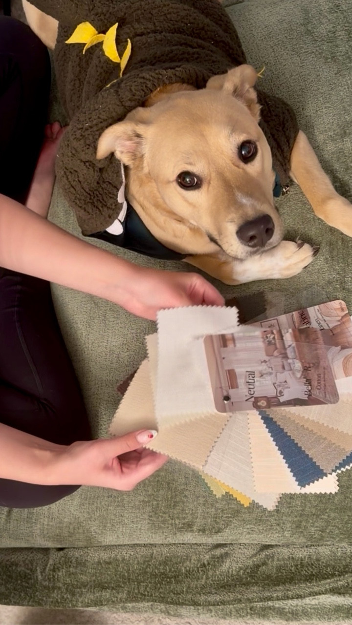 these curtains were throwing off my whole living room and I kept pretending it was fine… it wasn’t 🫠

finally swapped them out and everything just feels softer, calmer, and actually put together now

Navi was heavily involved in the decision process (strict quality control), which honestly worked out because Neutral Curtains are OEKO-TEX certified and use eco-friendly dyes… so they’re super pet-friendly too 🐾

went with the Jenna collection in brown (pinch pleat with back tab + lined), and the drape is exactly what I was hoping for

everything just makes sense now 🪟✨

#ad @NeutralCurtains
#neutralcurtains #internationalpetday