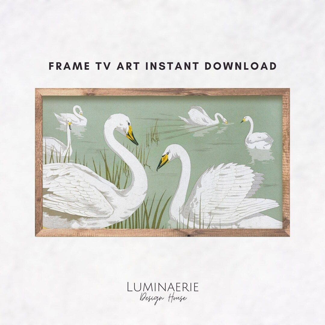 Samsung Frame TV Art, Swans on Lake Art, Springtime Painting of Majestic White Birds for FrameTV,... | Etsy (US)