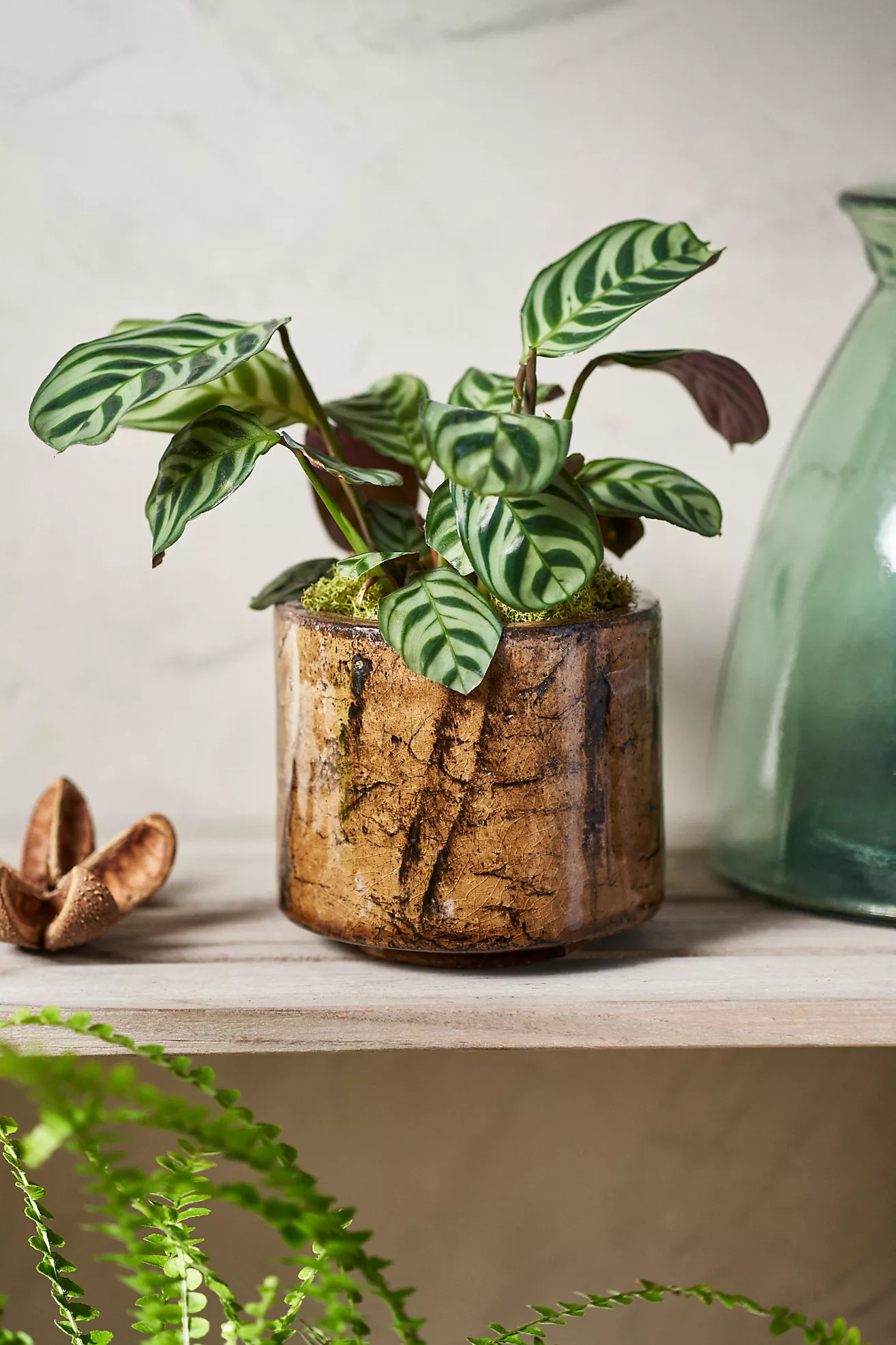 Fracture Glaze Ceramic Planter, Small | Anthropologie (US)