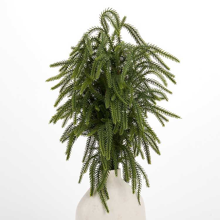 Norfolk Pine Christmas Bundle | Kirklands Home | Kirklands