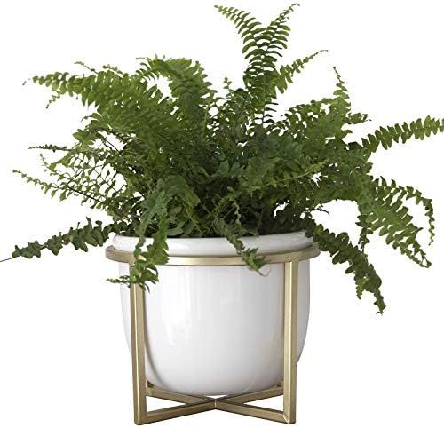 Ceramic Flower Plant Pot with Stand - 6.7 Inch White Indoor Planter Pot with Gold Metal Stand for... | Amazon (US)