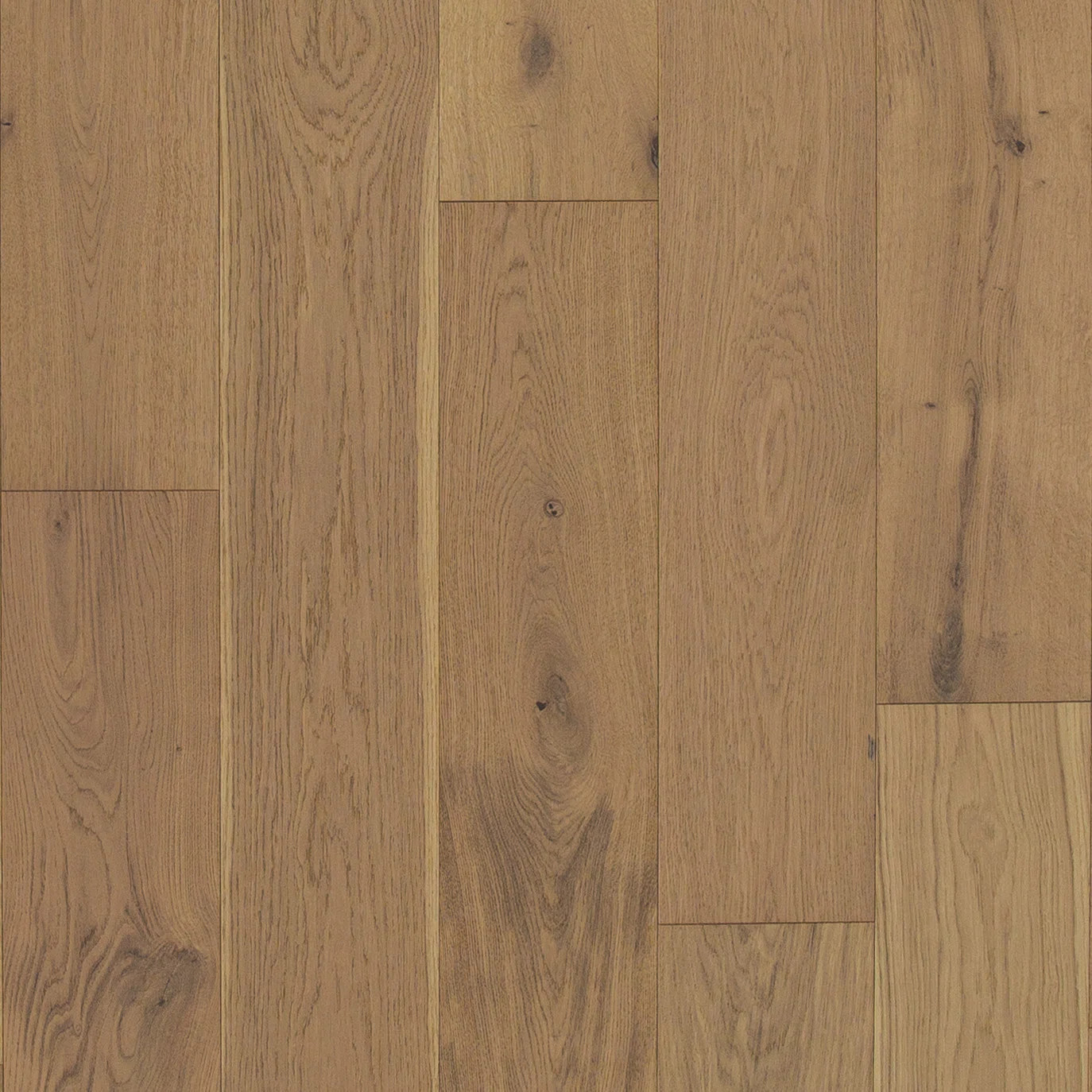 Shaw Alto Oak 7.5-in W x 12 mm T x Varying Length Wire Brushed Engineered Hardwood Flooring | Way... | Wayfair North America