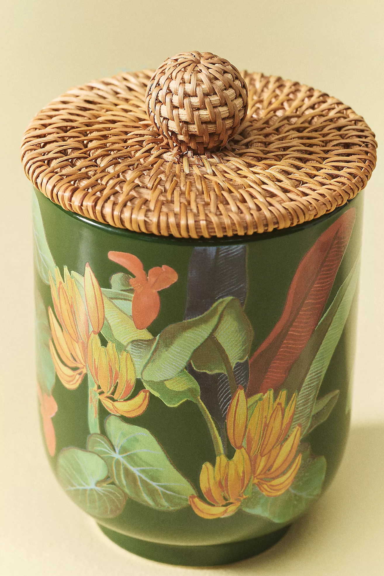 Farm Rio x Anthropologie Fruity Hibiscus & Pink Guava Ceramic Candle | Anthropologie (US)