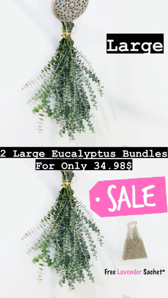 Large Fresh Eucalyptus Shower Bundle, Aromatherapy, Eucalyptus Bundle, Shower Eucalyptus Plant, F... | Etsy (US)
