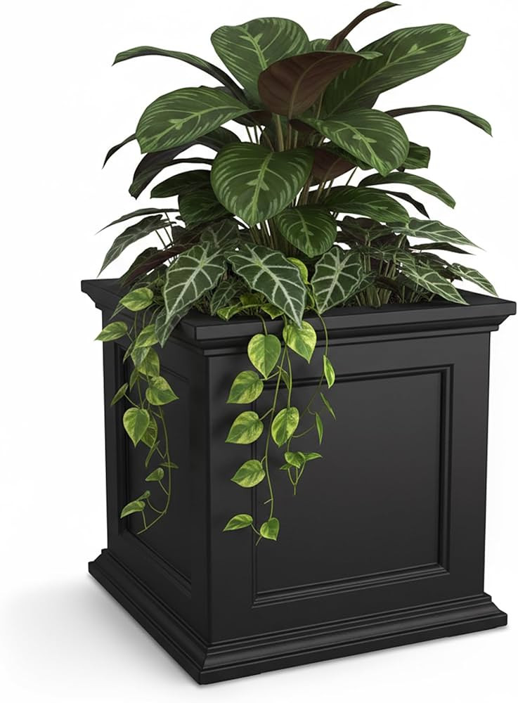 Mayne Fairview Self Watering Planter Box - 20 Inch Large Square, Classic Inset Panels, New Englan... | Amazon (US)