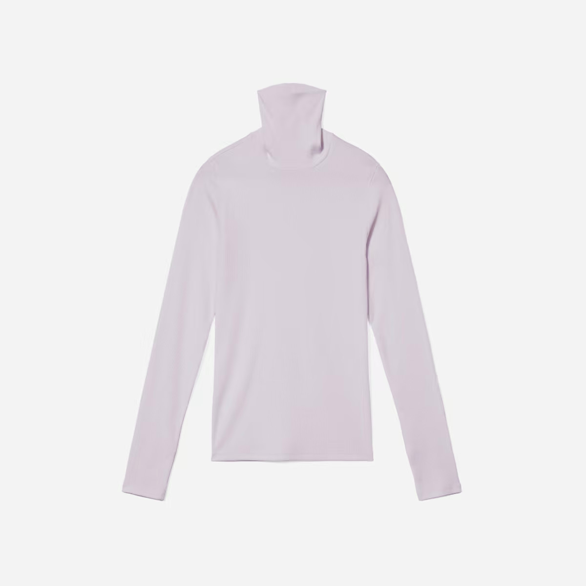 The Pima Micro-Rib Turtleneck | Everlane