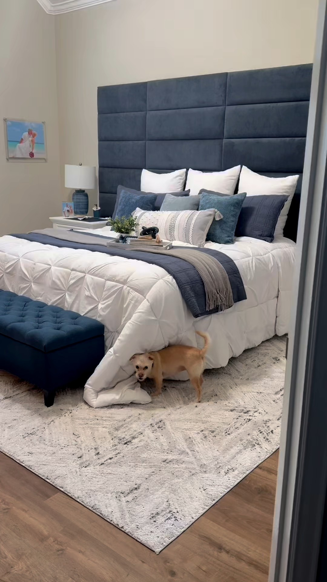 This retractable gate is easy to install, simple to step over, and has been a total lifesaver for keeping my pups off my comforter!

#CoastalVibes #BudgetHomeDecor
#NavyBlueDecor #CoastalBedroomStyle
#HomeOnABudget 
#AmazonHomeDecor 
#FarmhouseChic
#LTKHomelnspo 
#Minimalistic
#LTKStyleEdit
#LTKBudgetFinds

#LTKFindsUnder50 #LTKHome