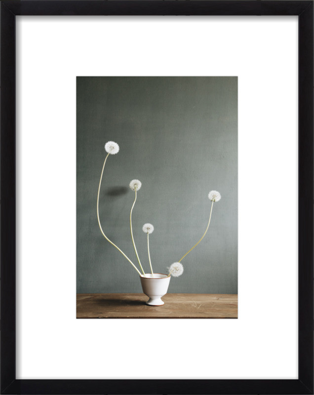 Dandelions | Artfully Walls