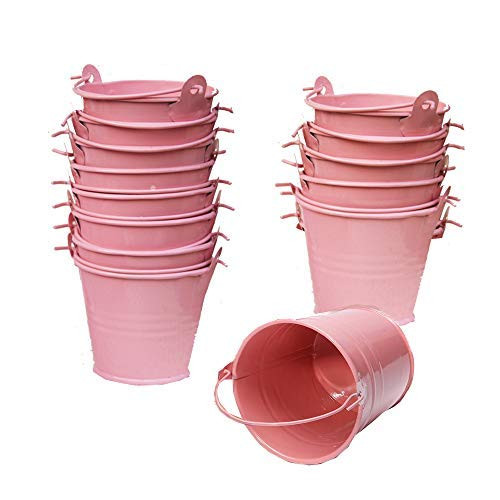 30 Pack Mini Metal Bucket Tin with Sheer Bag Candy Box Buckets Souvenirs Gift Pails for Bridal We... | Amazon (US)