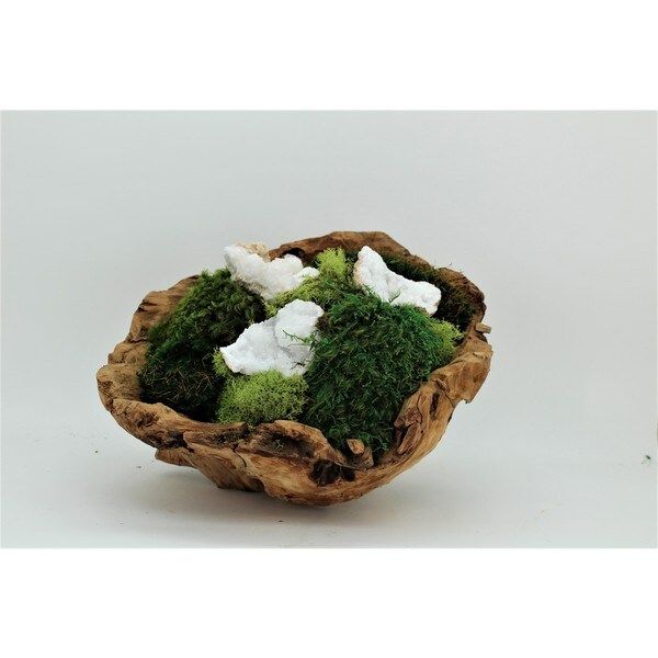 Organic Moss Garden and Quartz Geode in Hand-carved Wood Bowl | Bed Bath & Beyond