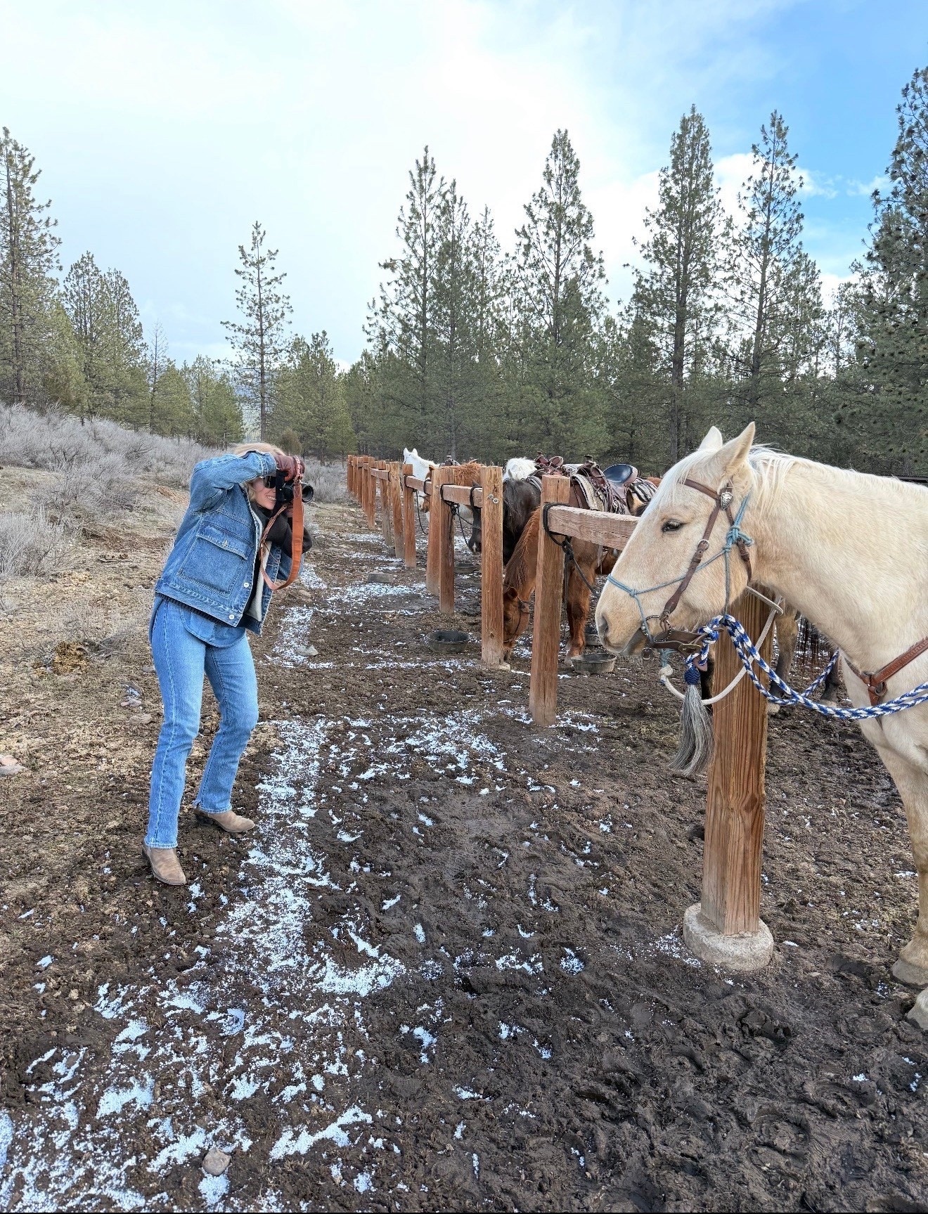 My favorite jeans are on sale! I have them in every color and wear them almost every day

#LTKSaleAlert #LTKU #LTKootd