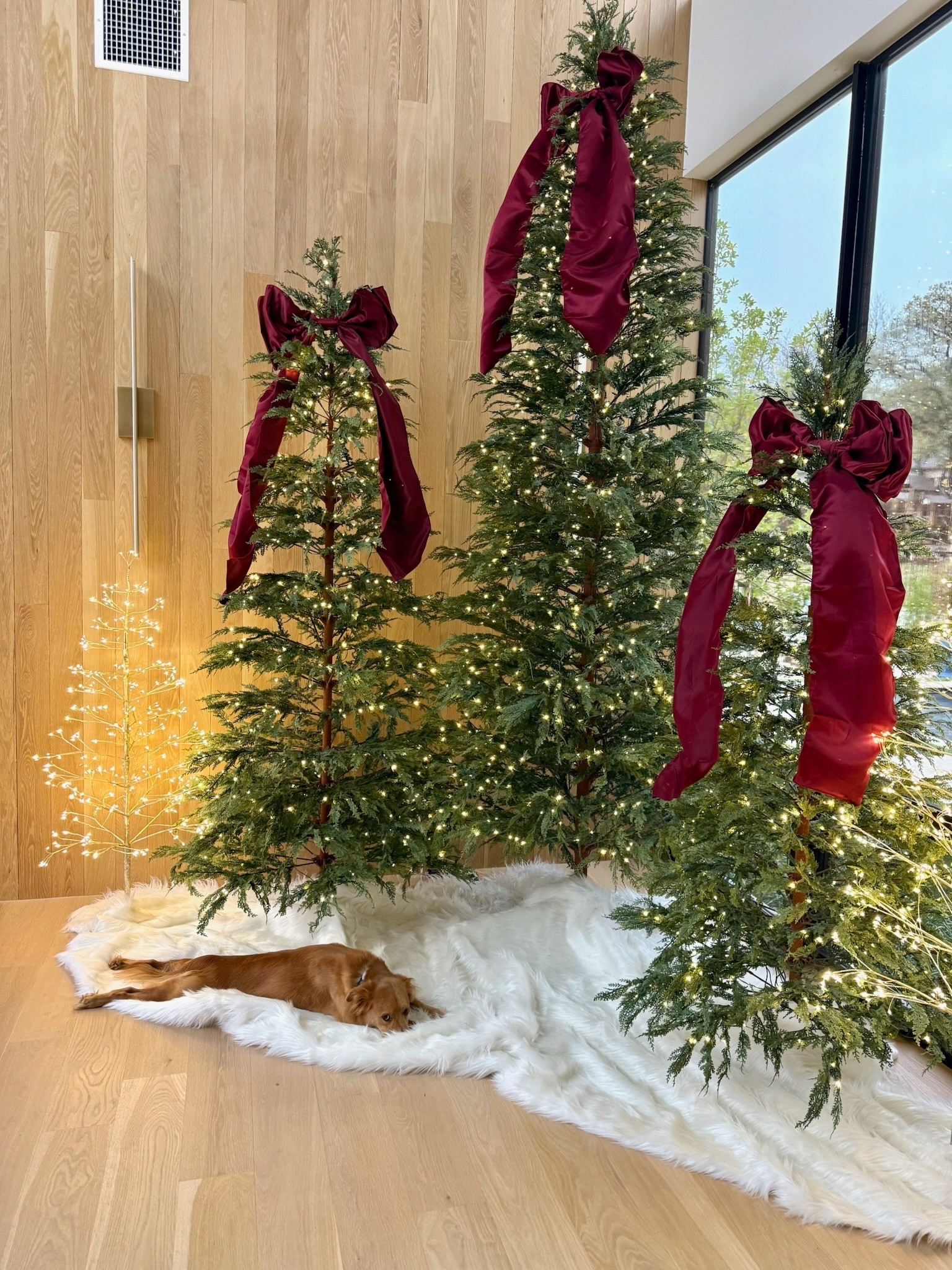 My favorite trees are back at Walmart!!