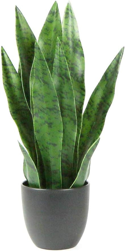 Bird Fiy Artificial Snake Plant Faux Agave Fake Sansevieria Artificial Potted Plants for Indoor a... | Amazon (US)