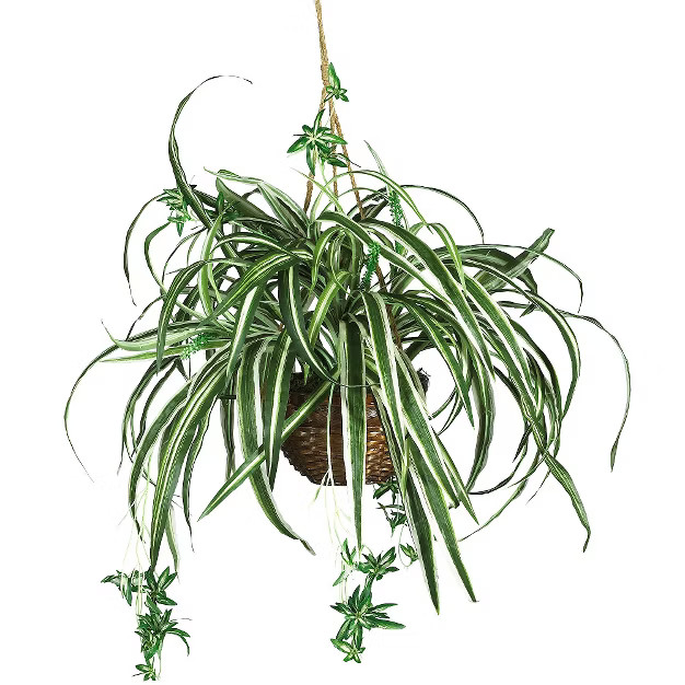 Nearly Natural Spider Hanging Basket Silk Plant | Target