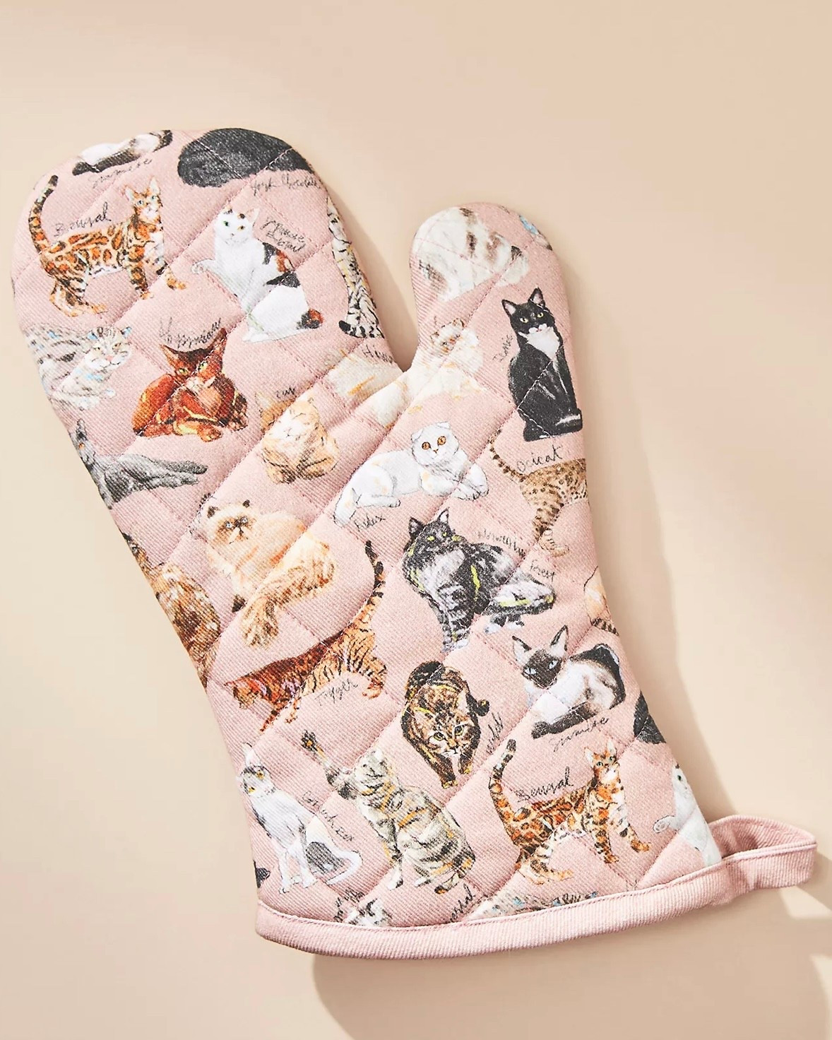 The Anthropologie A–Z Cat Breeds Full Oven Mitt is the cutest kitchen upgrade for cat lovers. It’s practical, padded, and covered in the sweetest illustrated breeds — basically a tiny art piece that also keeps you from burning your hands.

Perfect as a hostess gift, stocking stuffer, or a “treat yourself because you baked once this week” moment. 😽🧁✨

#LTKGiftGuide #LTKHoliday #LTKCyberWeek