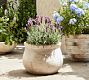 Artisan Handcrafted Cachepots | Pottery Barn (US)