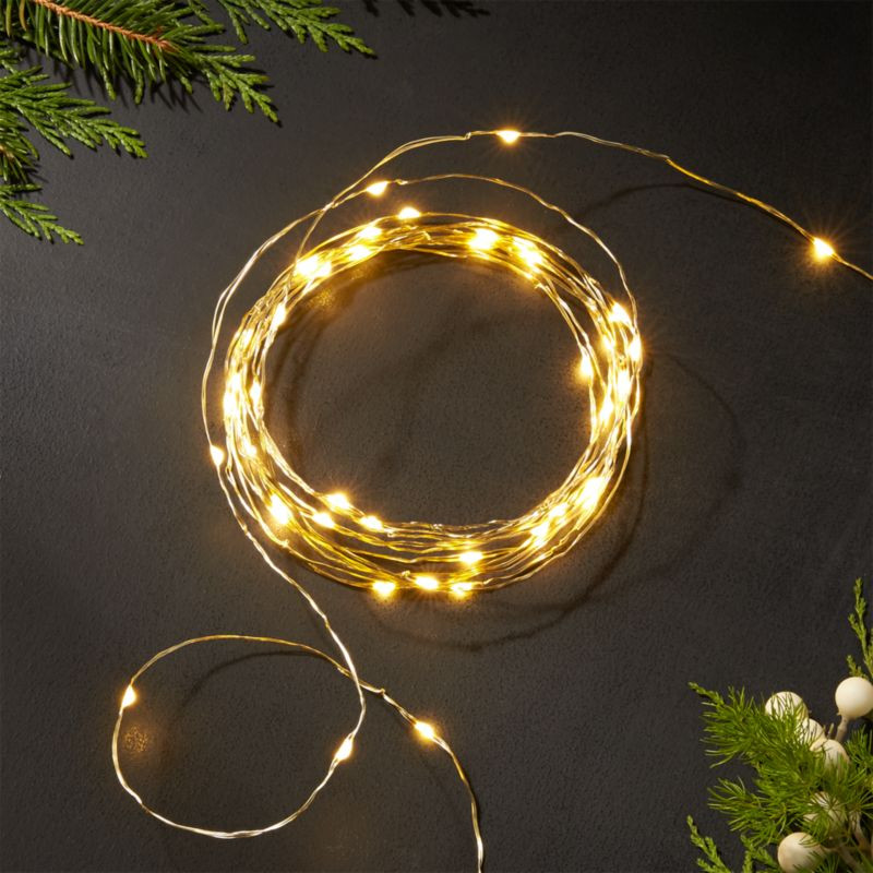 Twinkle Gold 30' Outdoor Patio String Lights + Reviews | Crate & Barrel | Crate & Barrel
