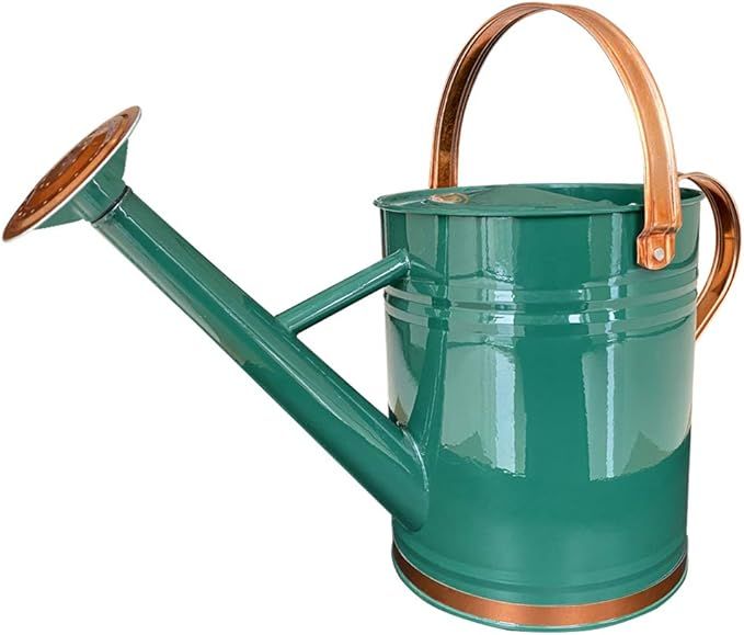 Galvanized Steel Watering Can Metal Watering Can for Outdoor Plants with Copper Accents 1 Gallon,... | Amazon (US)