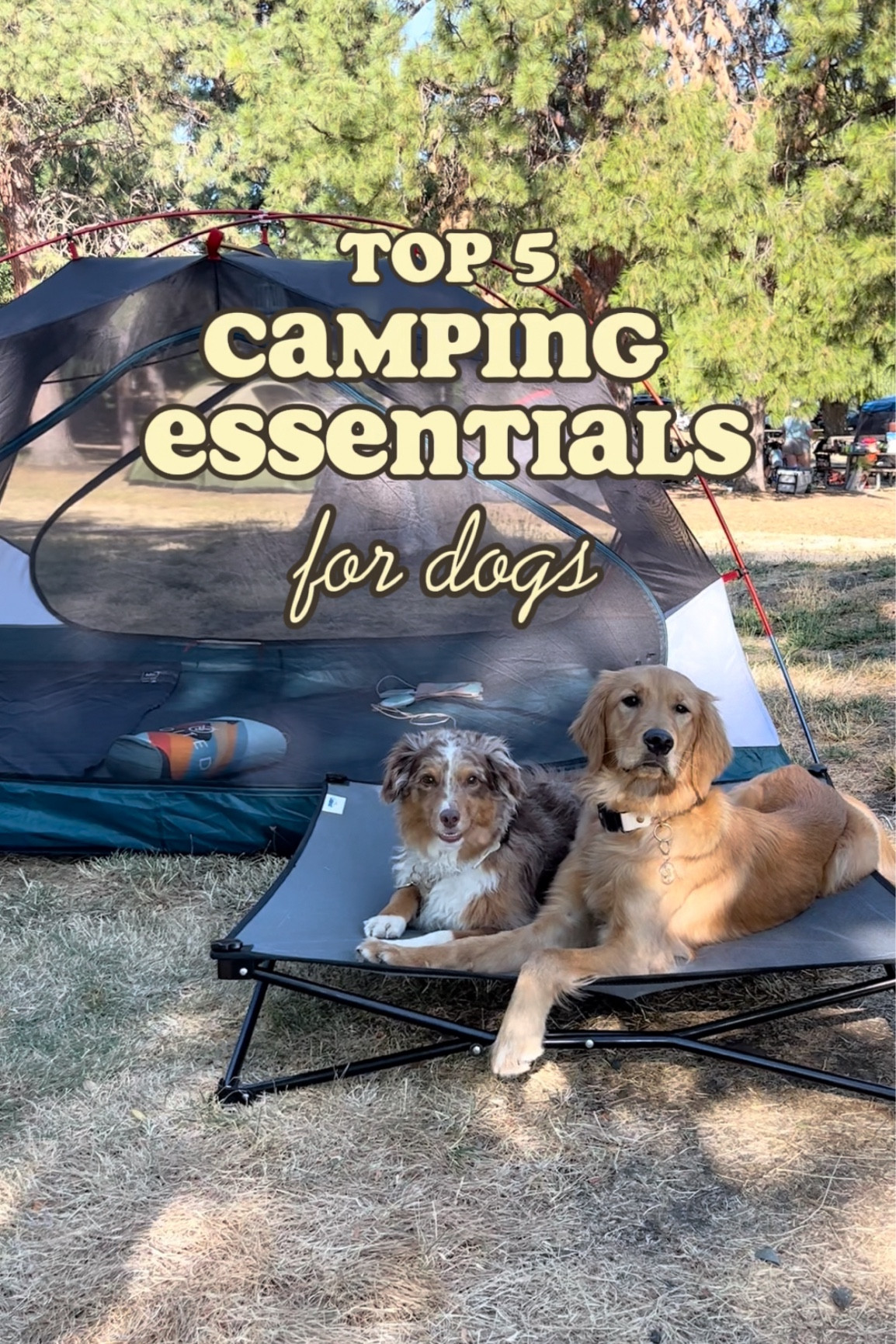 1. Tree Tie-out cable 
2. An ultralight travel hammock (on Voited website) 
3. Elevated dog bed 
4. Woof popsicle
5. No-hide long-lasting collagen chews 