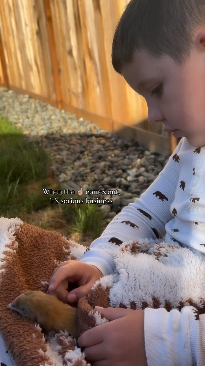 Chicken whisperer.

#raisingchickens #petchickens #pnw