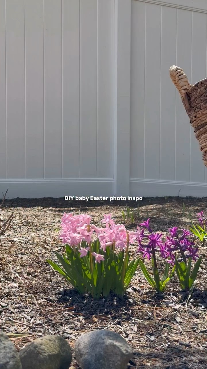 Comment FLOWER for onesie! A super special (and easy) photo idea for baby’s first Easter🐰 

Save to recreate with your little bunny and share with your mom friends, I’d love for this to spread so other mamas can take these photos to cherish too 🥰

#easter #firsteaster #momsofinstagram #momlife #babyphotoshootideas

#LTKBaby #LTKBump #LTKKids