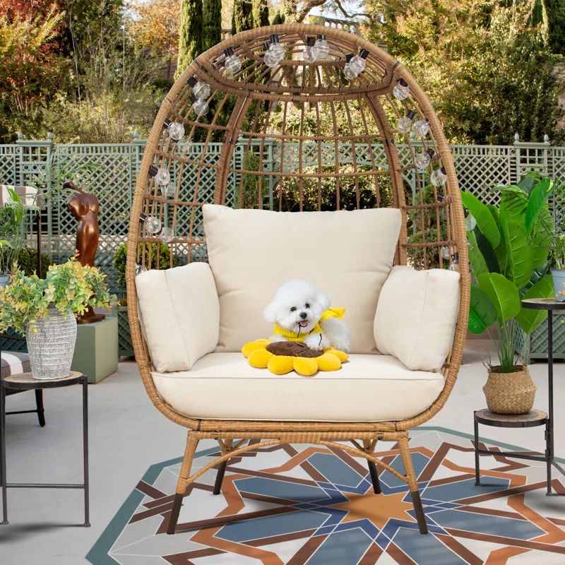 Cuccia Egg Patio Chair with Cushions | Wayfair North America