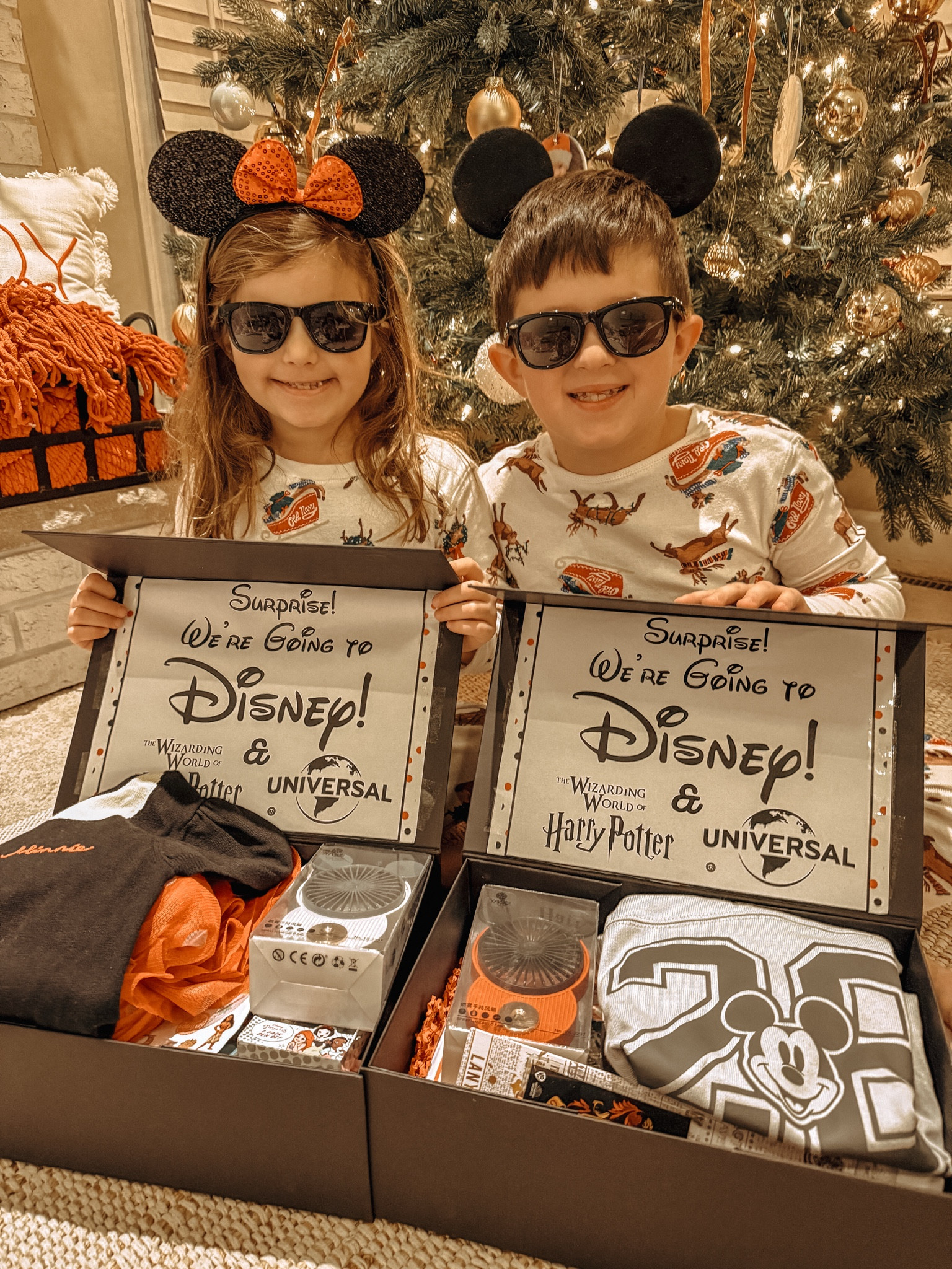 Surprise Disney boxes!

#LTKHoliday #LTKGiftGuide #LTKFindsUnder50