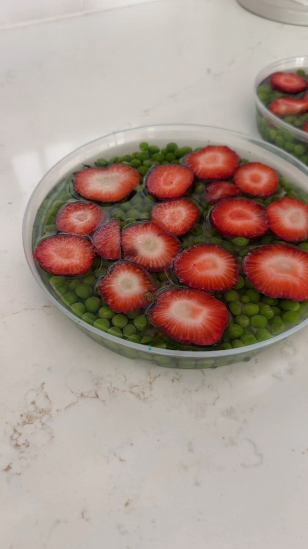 Making frozen treats for the chickens, these plant saucers from Target Threshold work so well!

#LTKFamily #LTKPets #LTKSeasonal