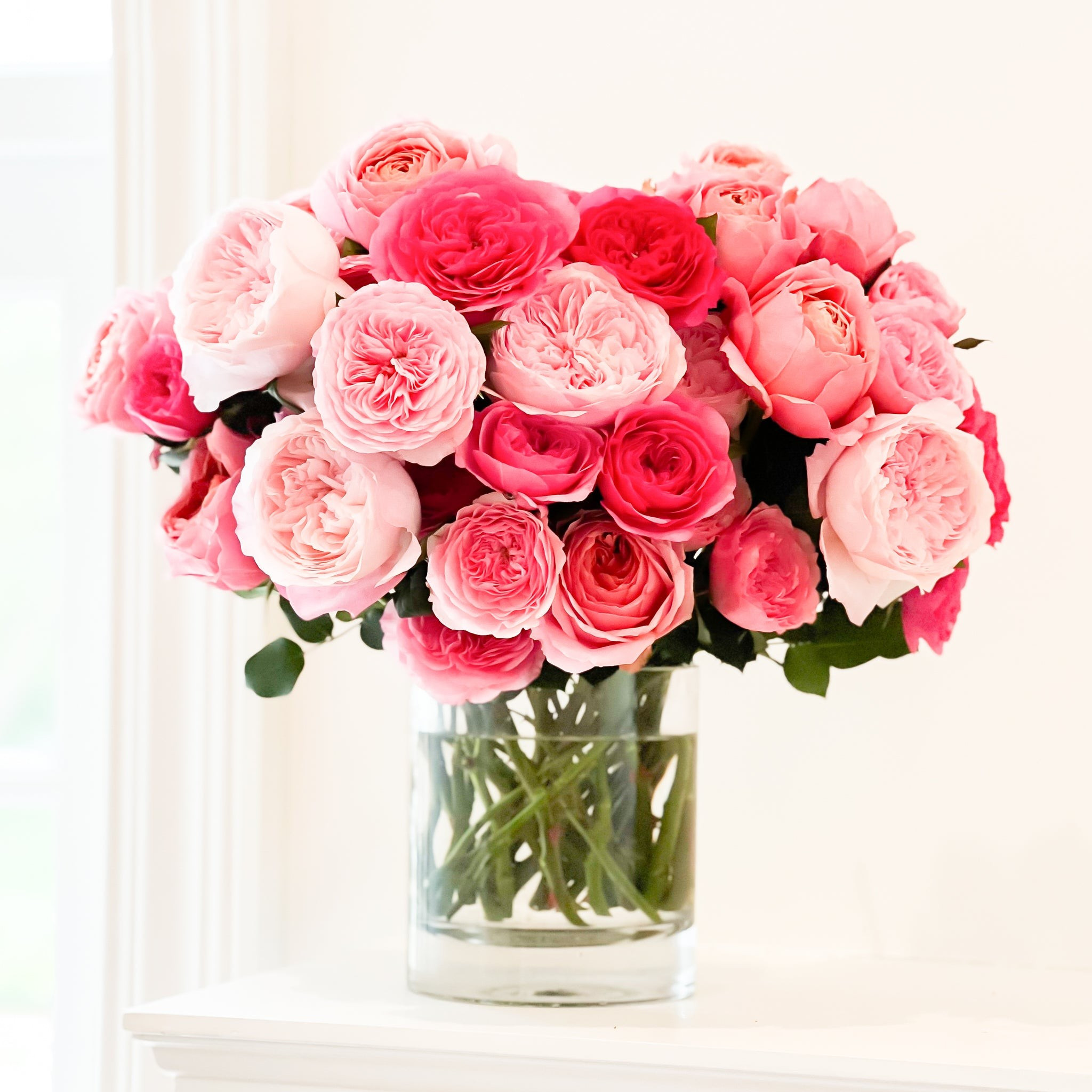 Gracie | Grace Rose Farm