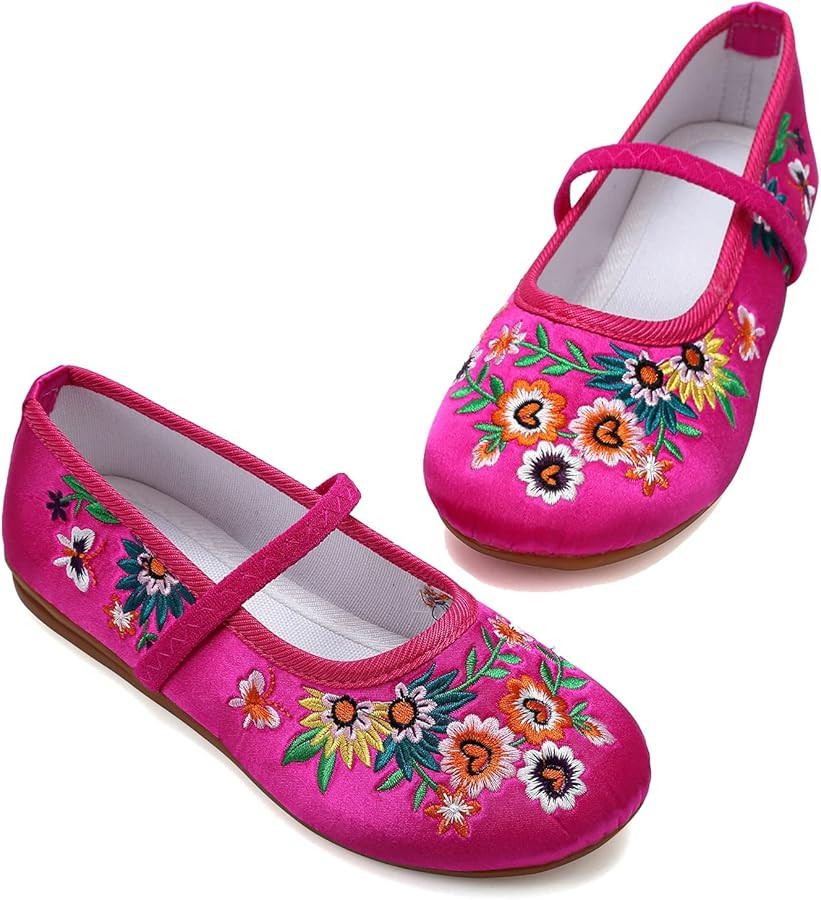 Encanto Costume Shoes Mary-Jane Flats Shoes Round Toe Low Wedge Ballet Flats Floral Embroidery Sh... | Amazon (US)