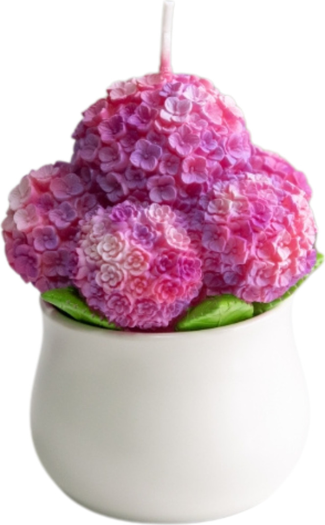 Southlake gifts Hydrangea Candle | Nordstrom | Nordstrom