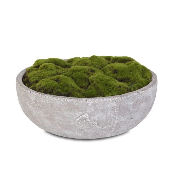 Artificial Fake Moss Arrangement in Round Stone Wash Cement Bowl - 14.5W x 14.5D x 2H | Bed Bath & Beyond