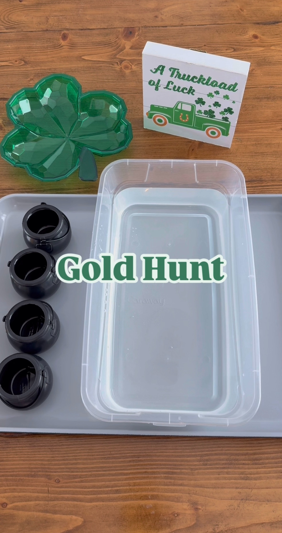 Gold Hunt sensory bin for St. Patrick's Day! 

 #LTKKids