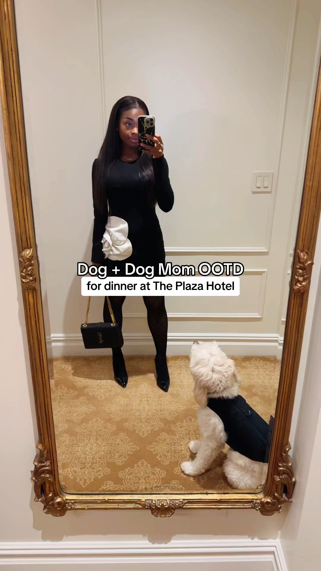 Winter going out outfits, dress with tights, Gucci tights, minimalist fashion, dog clothes | save $50 on Fashion Pass clothing rentals w/ code: TAYFP

#LTKVideo #LTKSeasonal #LTKstyletip