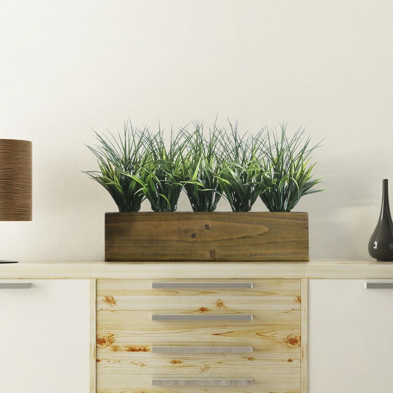 Floor Foliage Grass in Pot | Wayfair Professional