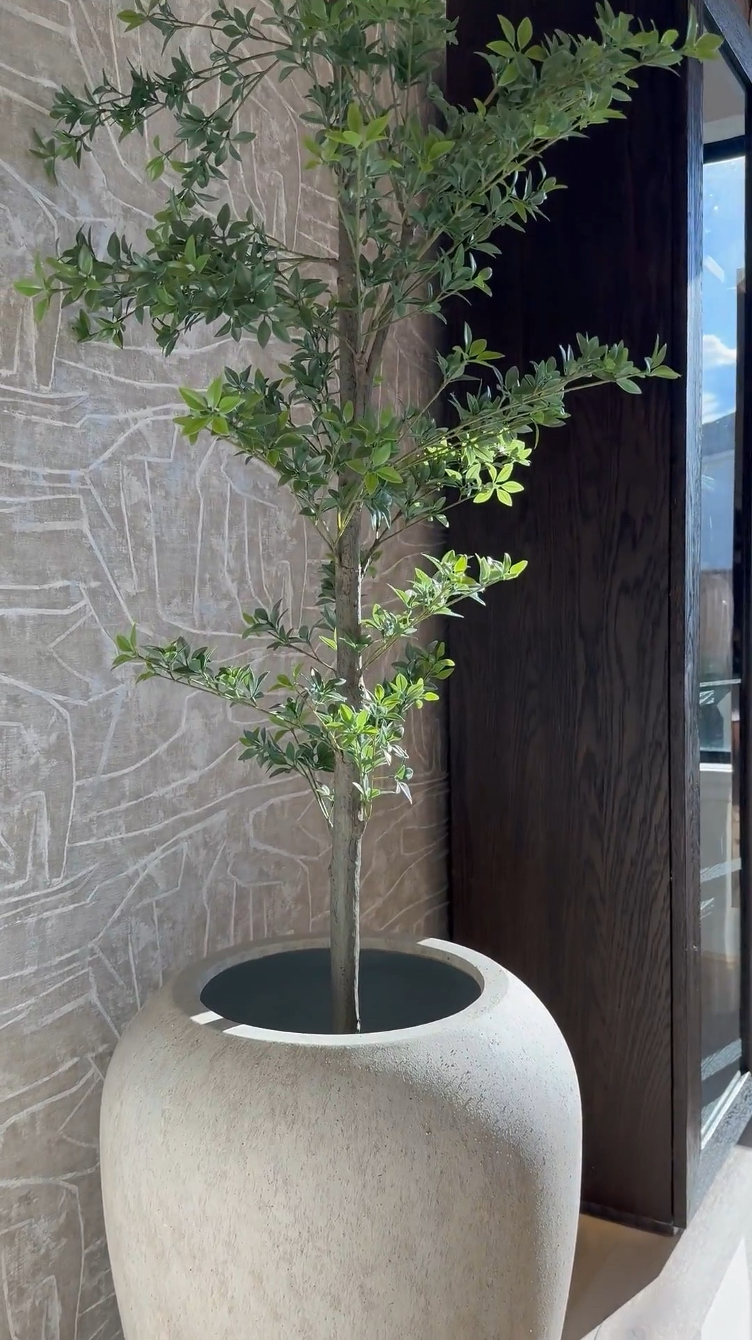 I am absolutely loving this planter from Pottery Barn! It's gorgeous, and the best part is that it's so versatile - it works perfectly for both bigger trees and smaller ones too! 🌳 I love it so much that I actually ended up buying another one, haha! 😆 It's definitely a game-changer for decorating any space. 

#LTKHome #LTKStyleTip #LTKSaleAlert